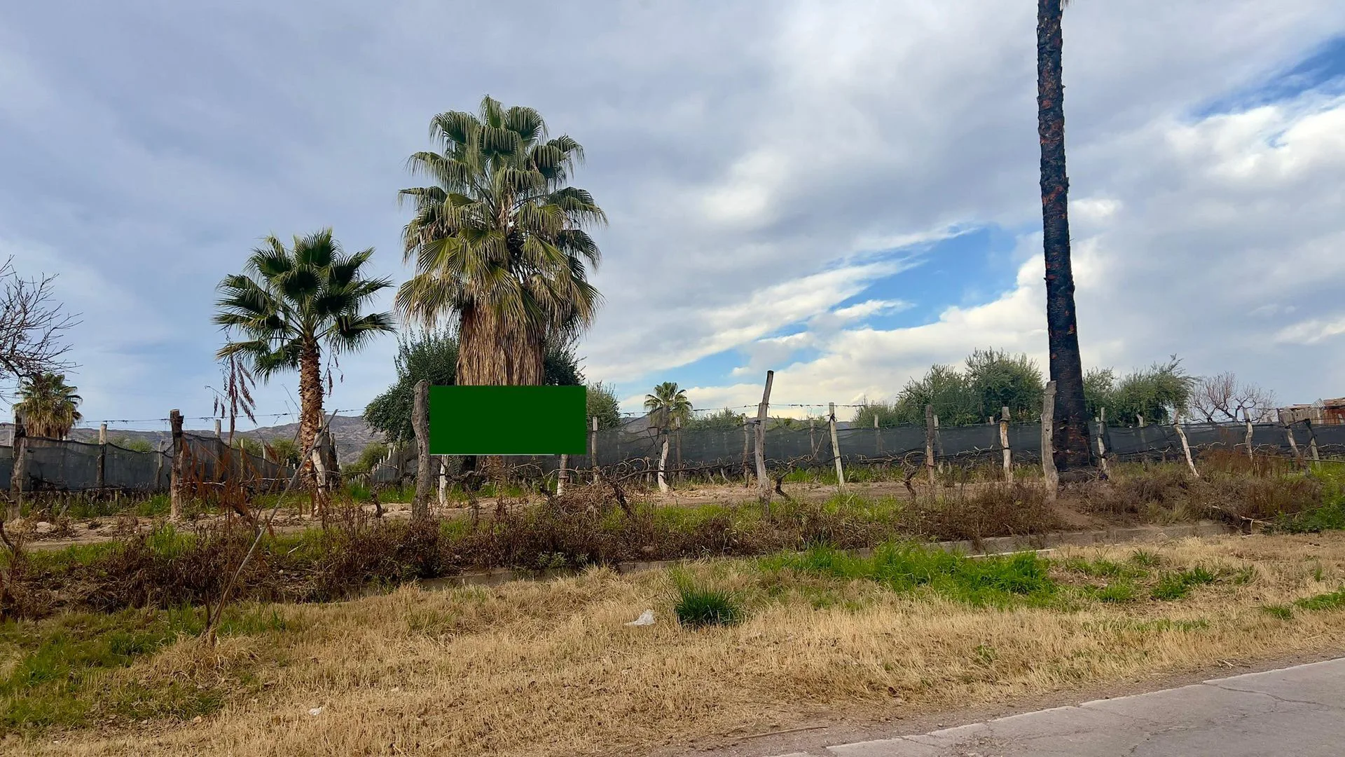 VENTA FINCA 27.000 m2, LUNLUNTA MAIPU foto 3
