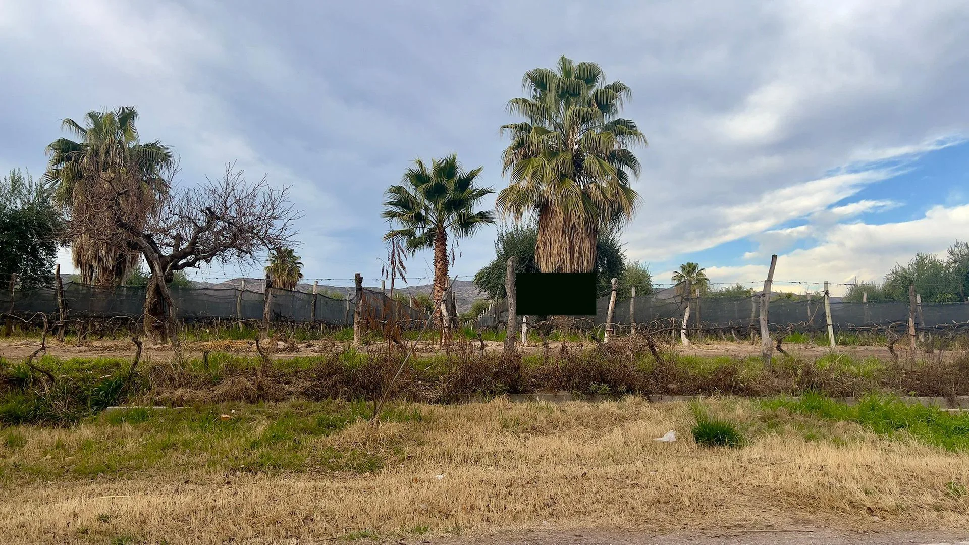 VENTA FINCA 27.000 m2, LUNLUNTA MAIPU foto 4