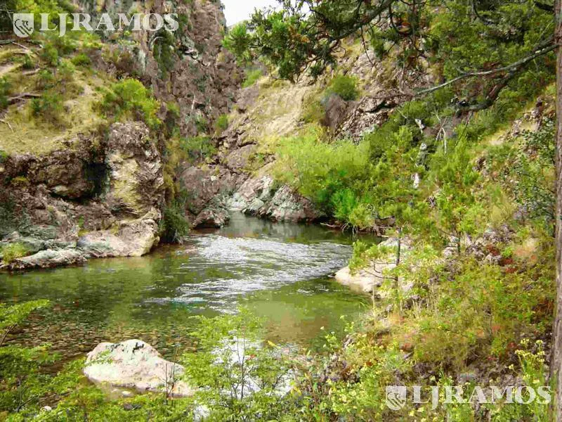 151 ha sobre río. El Bolsón, Río Negro foto 2