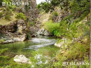 151 ha sobre río. El Bolsón, Río Negro foto 2