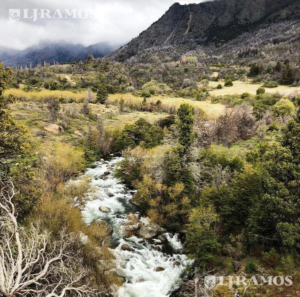 151 ha sobre río. El Bolsón, Río Negro foto 3