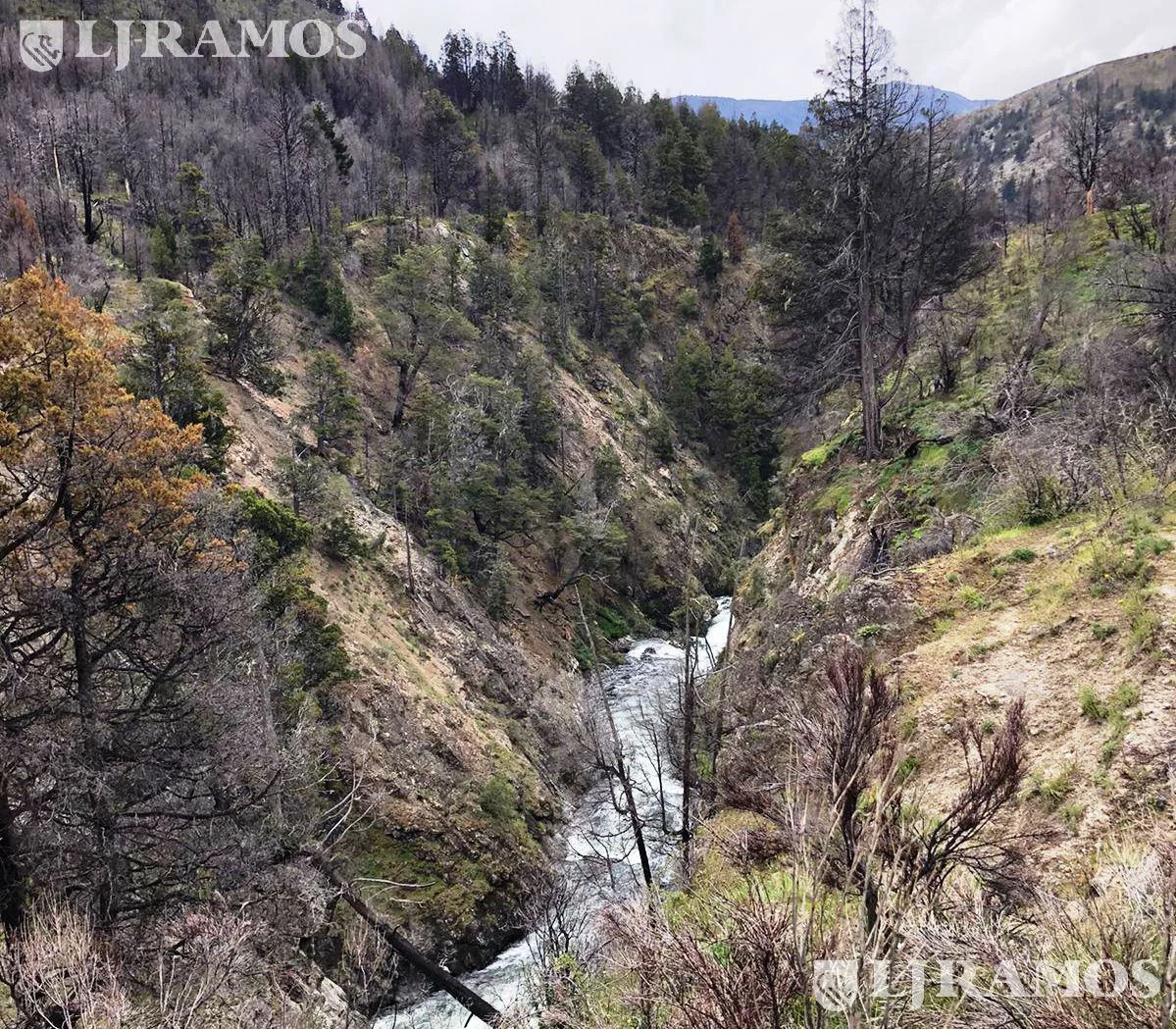 151 ha sobre río. El Bolsón, Río Negro foto 5
