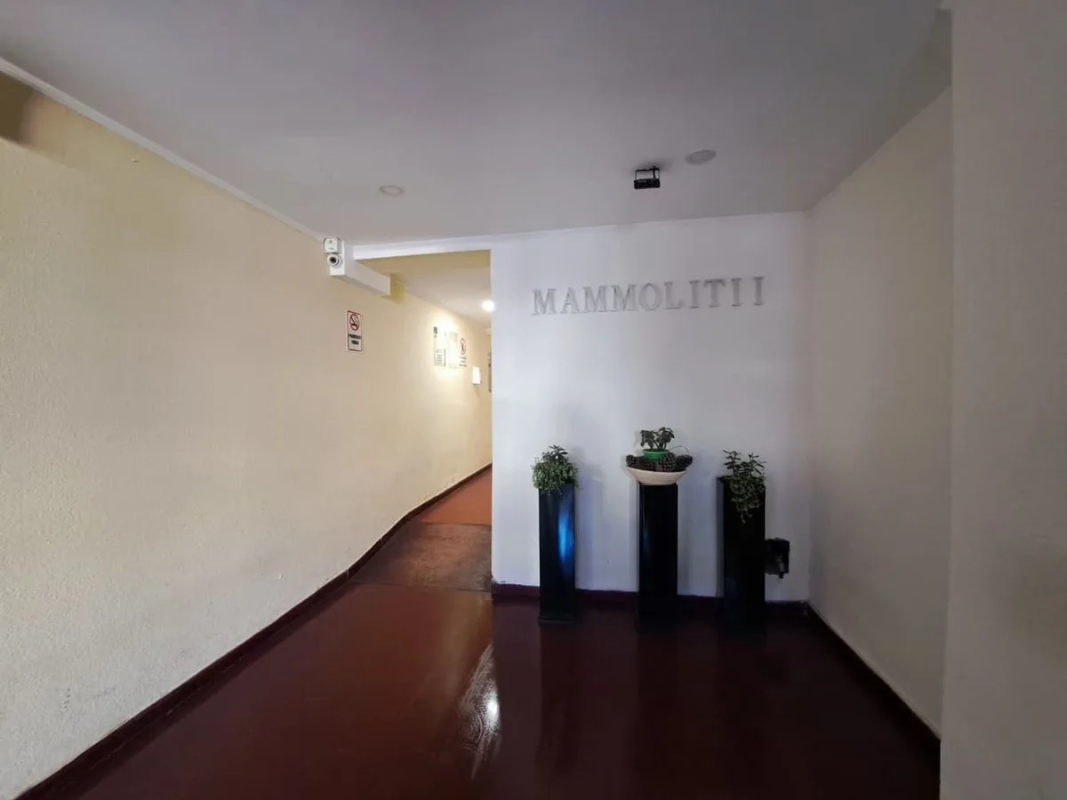 VENTA DE DEPARTAMENTO EN SAN BERNARDO foto 2