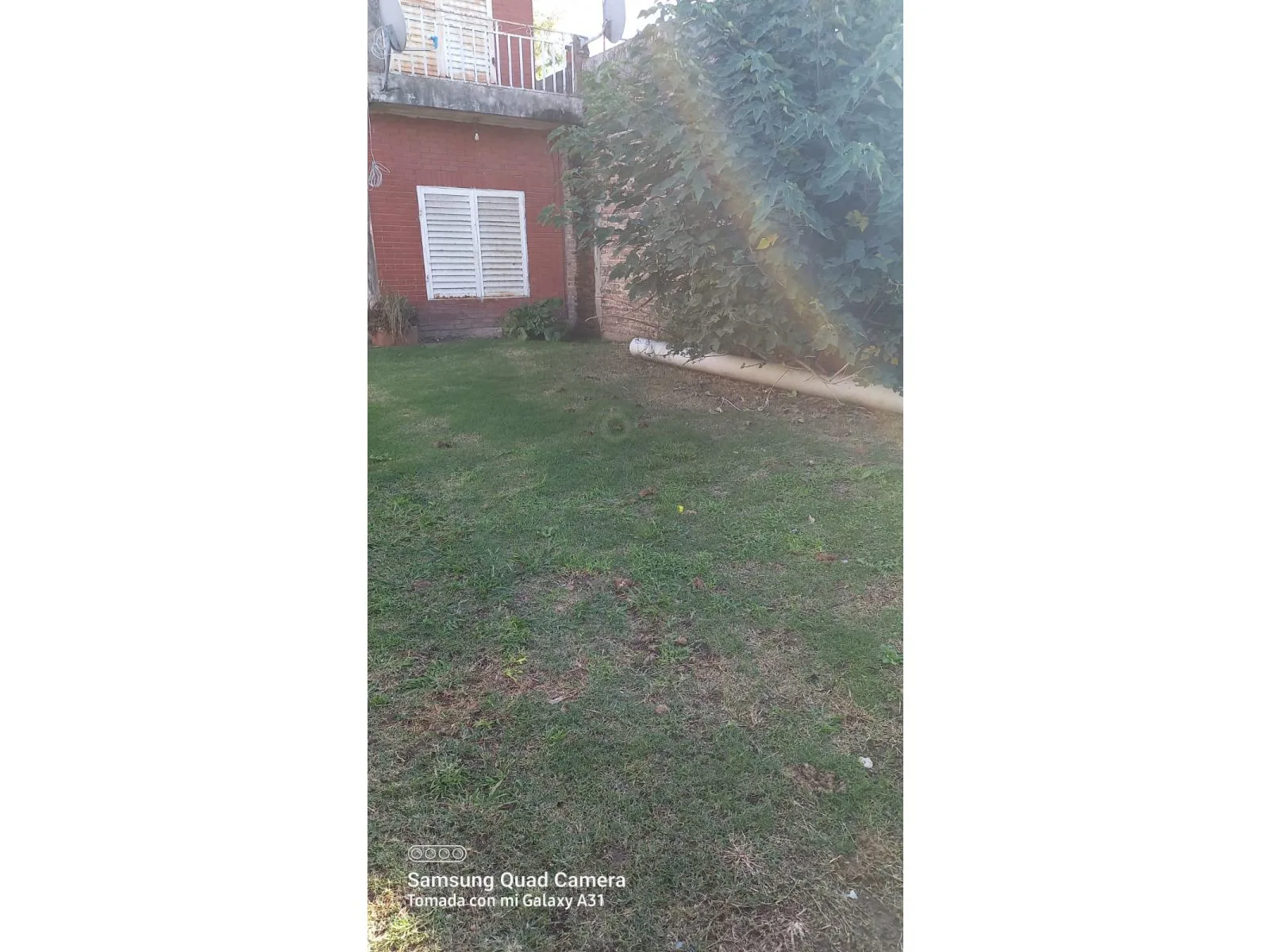 Venta Casa 4 ambientes en Lote Propio con fondo en Isidro Casanova foto 4