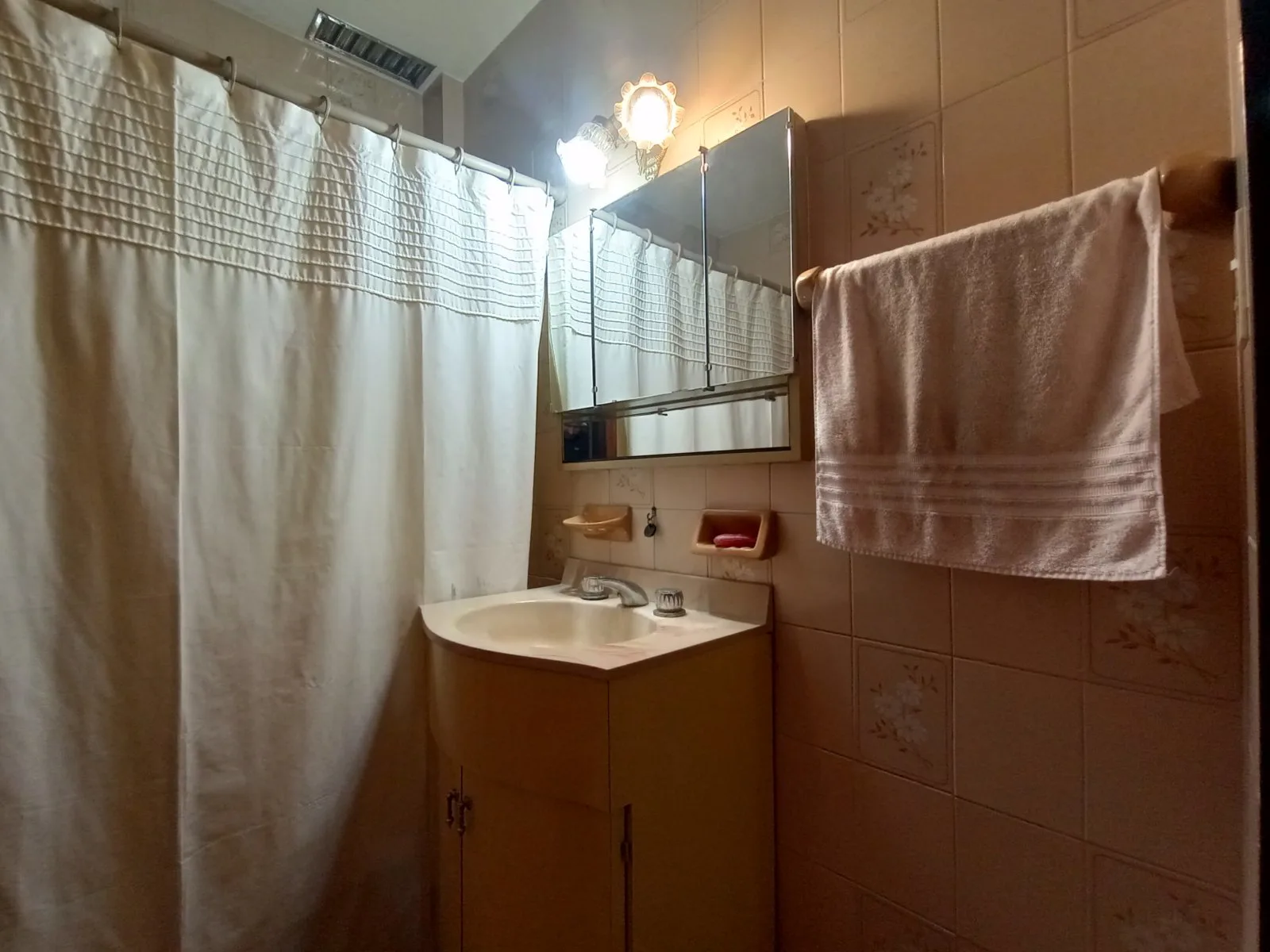Excelente propiedad para 2 familias en Lote de 9,80x43 foto 5