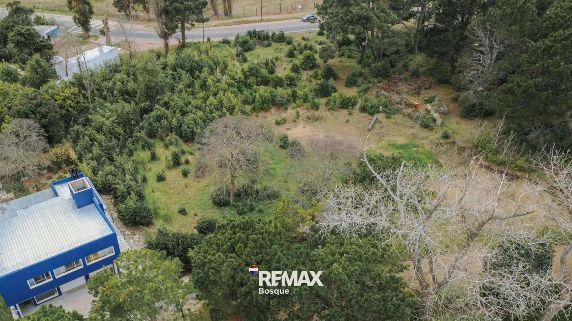VENTA DE LOTE EN SANTA TERESITA foto 3