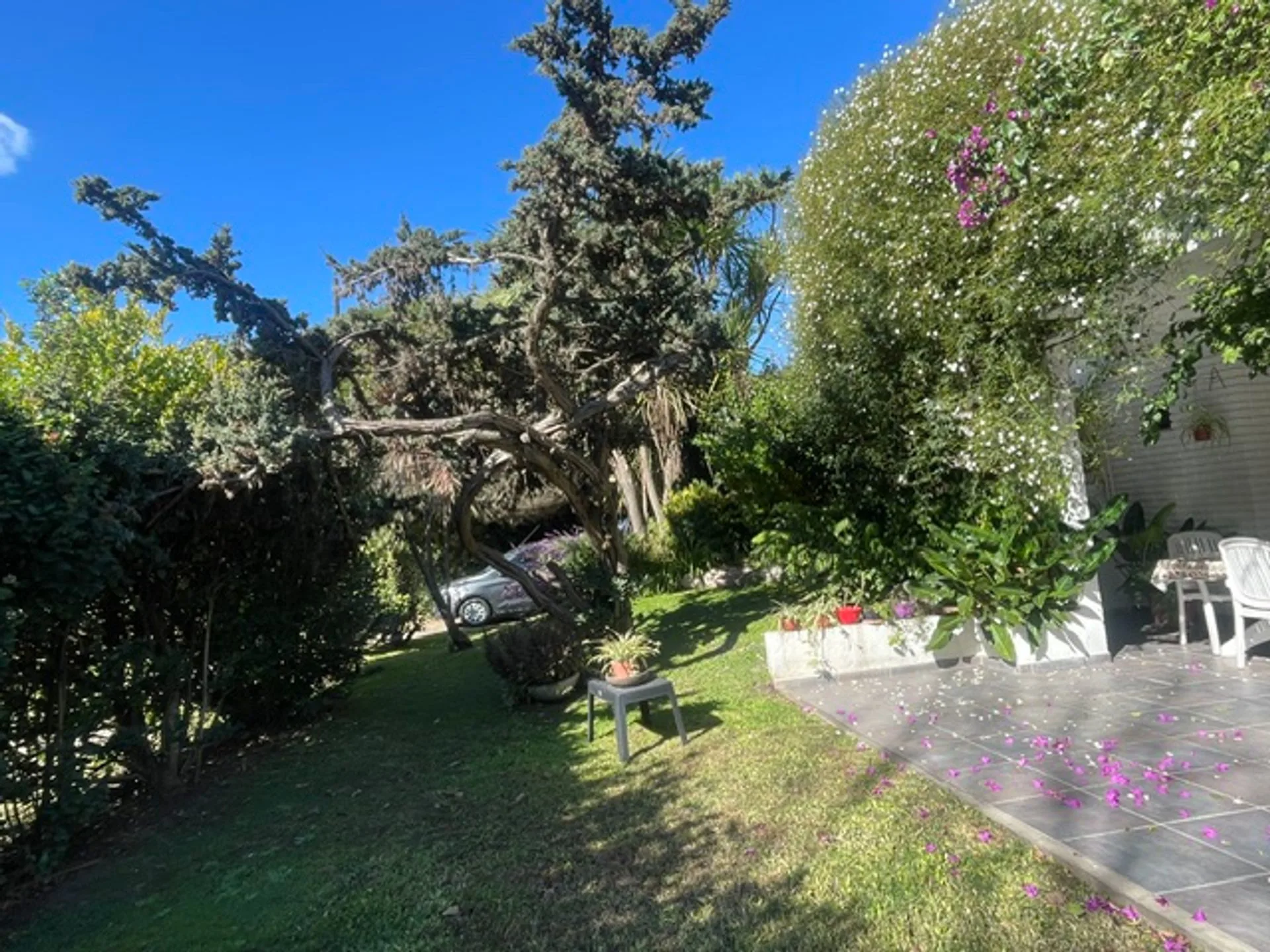 Venta Casa Country Club Los Troncos Pilar foto 5