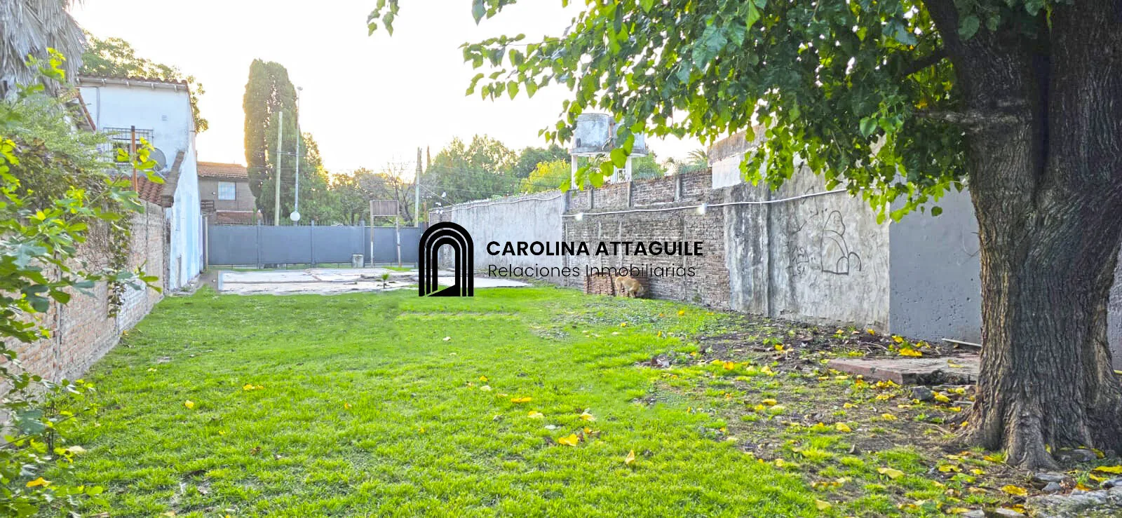 TERRENO EN ALQUILER EN CASTELAR SOBRE AV SANTA ROSA foto 3