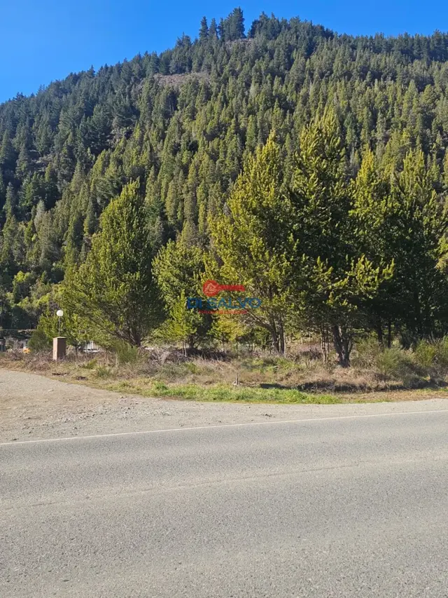 Lotes sobre ruta ingreso a Lago Puelo