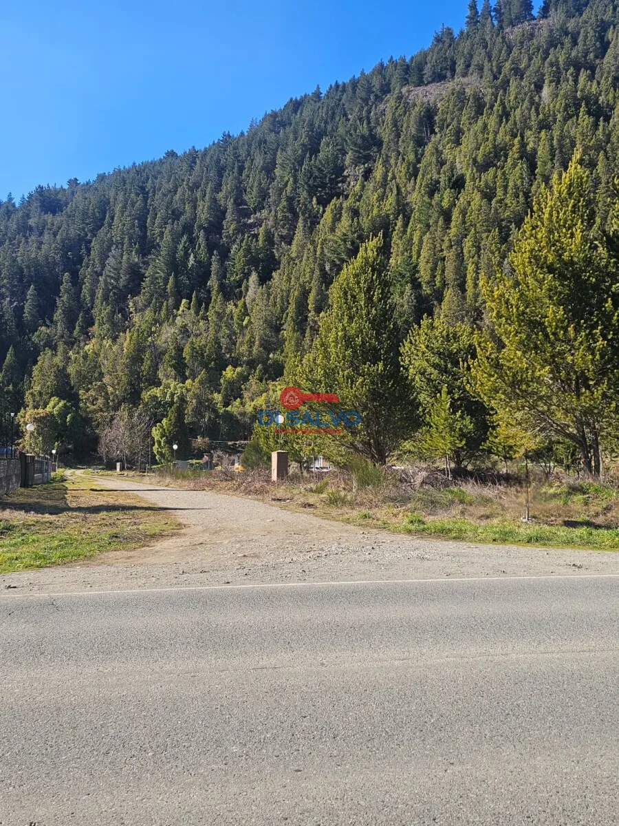 Lotes sobre ruta ingreso a Lago Puelo foto 2