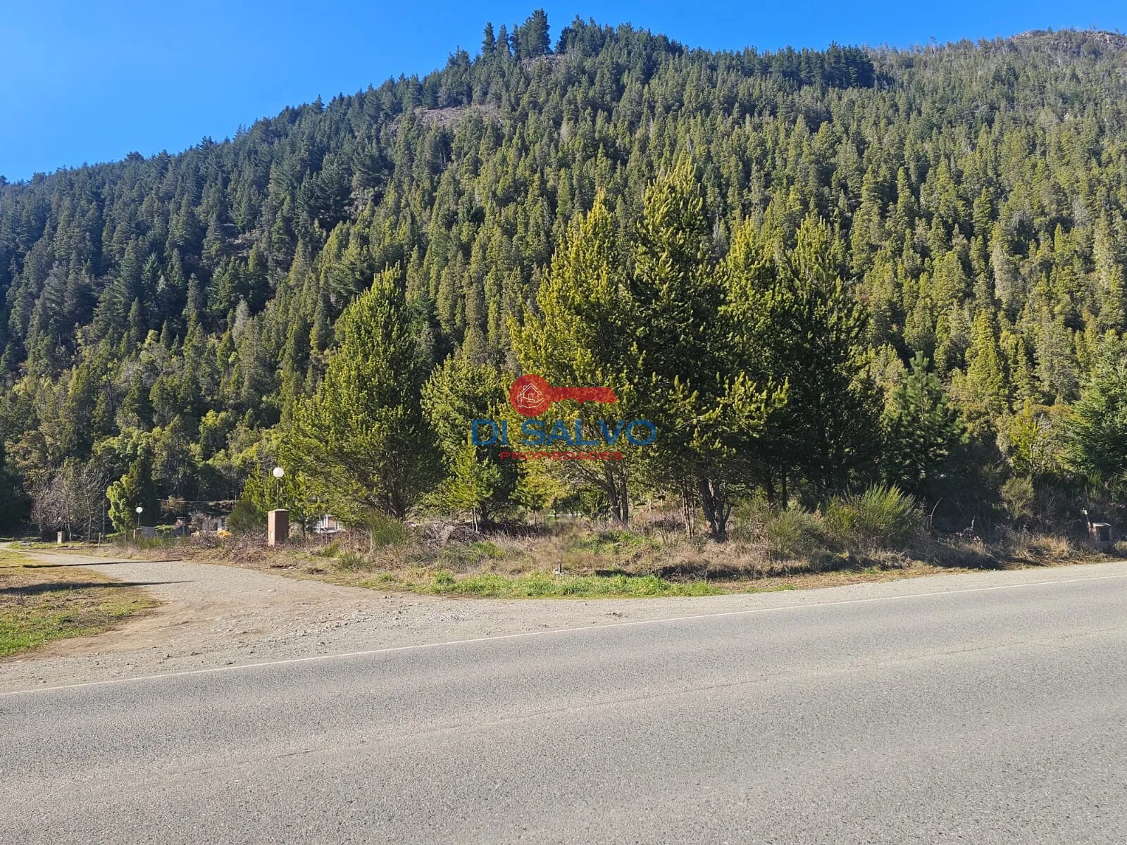 Lotes sobre ruta ingreso a Lago Puelo foto 3