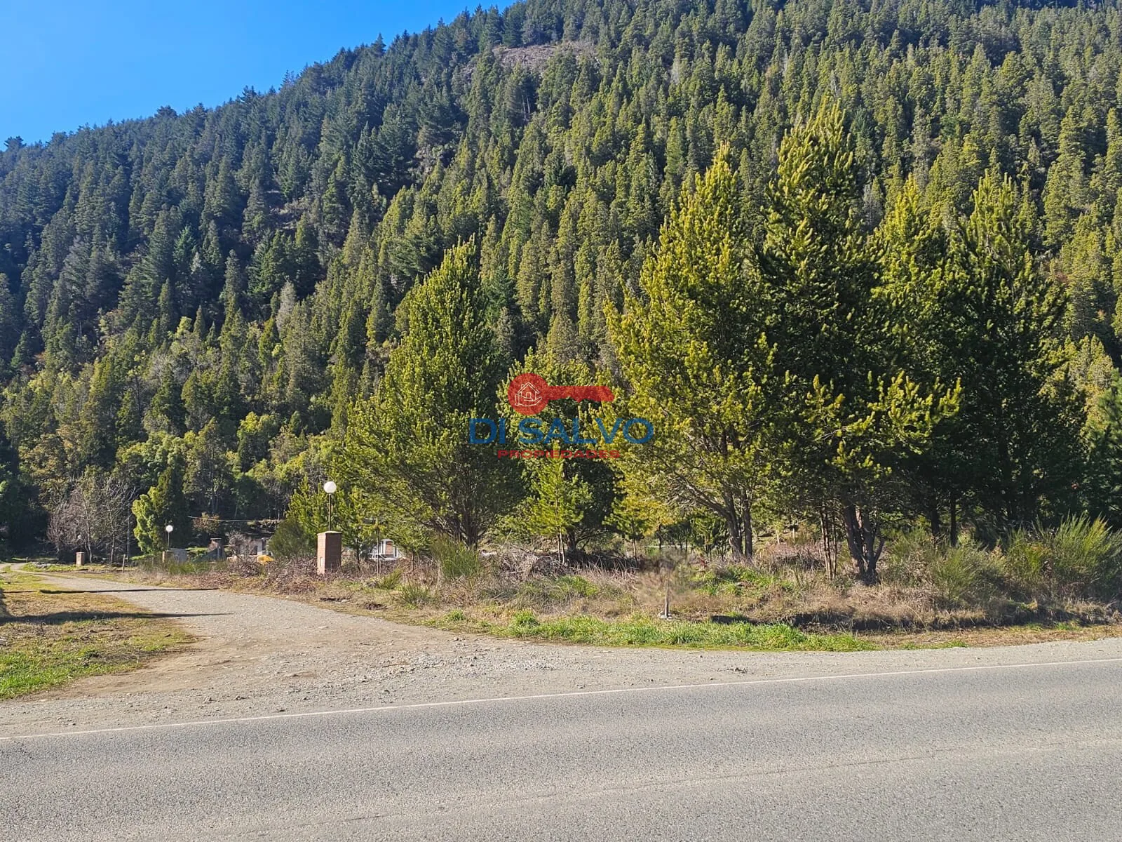 Lotes sobre ruta ingreso a Lago Puelo foto 4