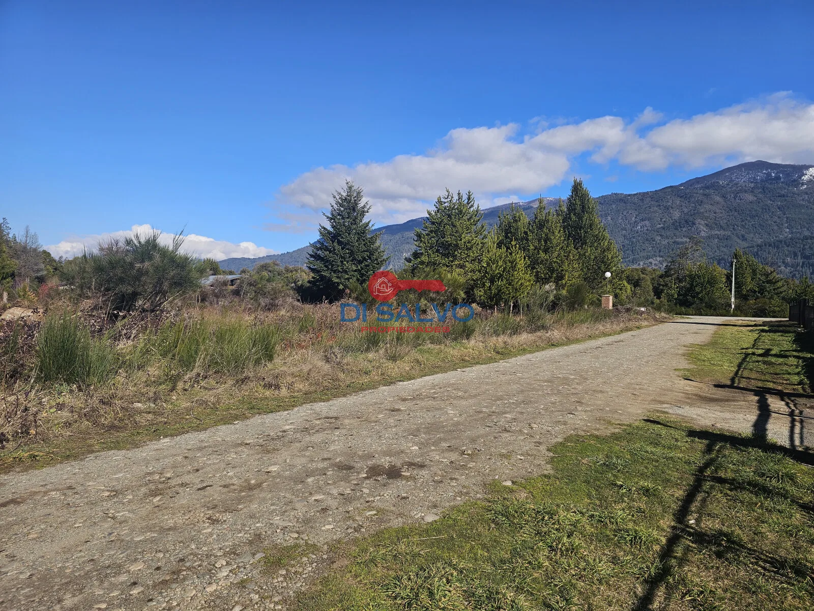 Lotes sobre ruta ingreso a Lago Puelo foto 5