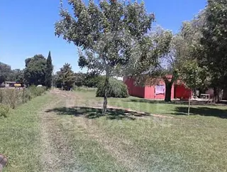 ESCOBAR / CAMPANA - Chacra de 2.3 hra. con 2 casas - muy buen acceso - Ideal Emprendimiento foto 4