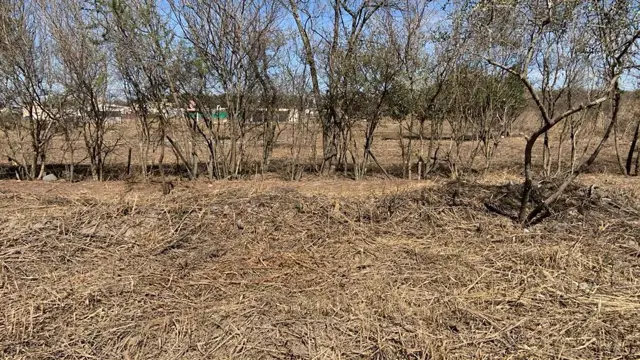 TERRENO VENTA CAMPO QUIJANO KM 16.5 5000M2