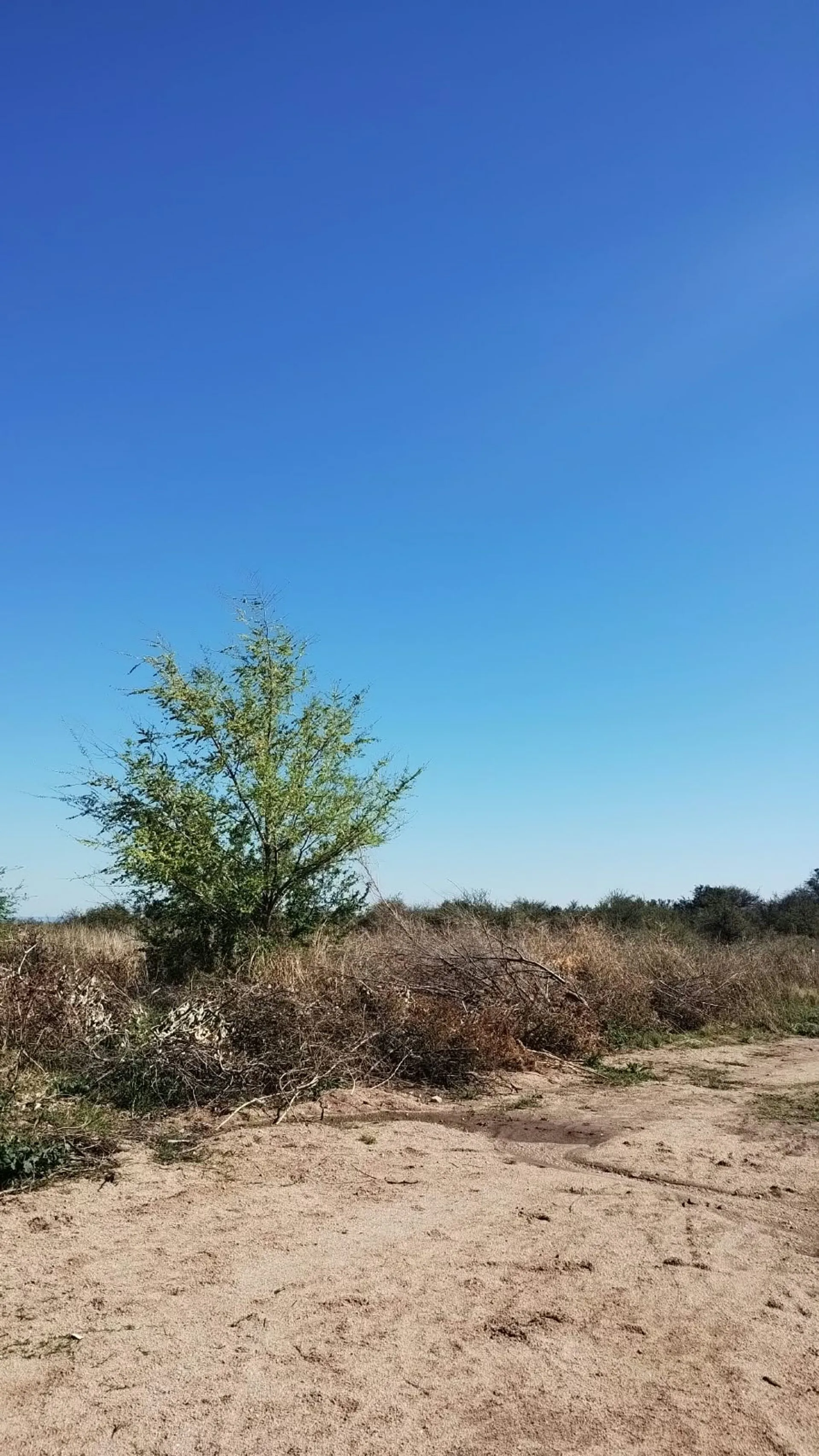 VENTA LOTE EN VILLA LARCA foto 2