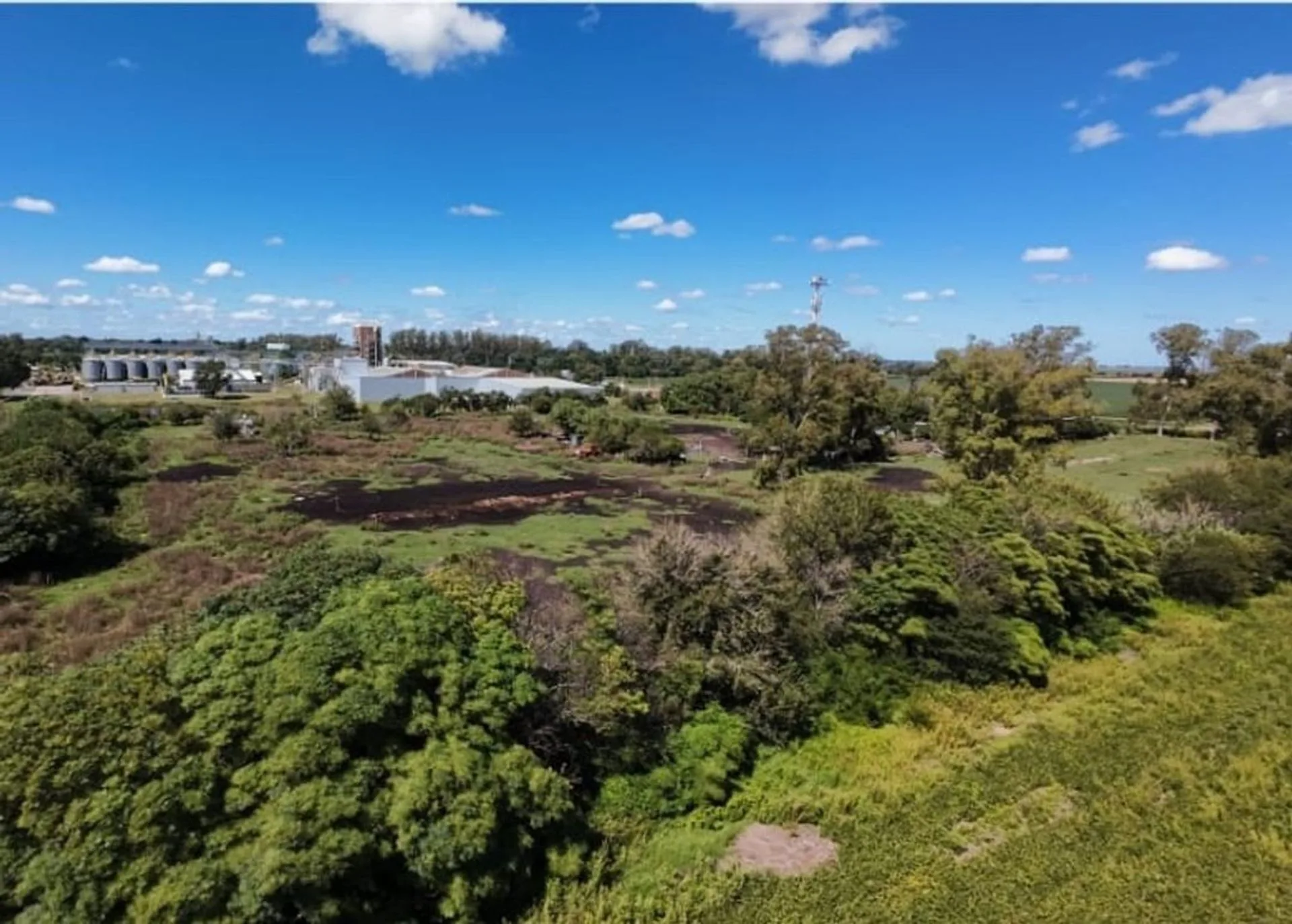 Lote de 1,75 ha a metros de RNN°8 (curva Syngenta) foto 5