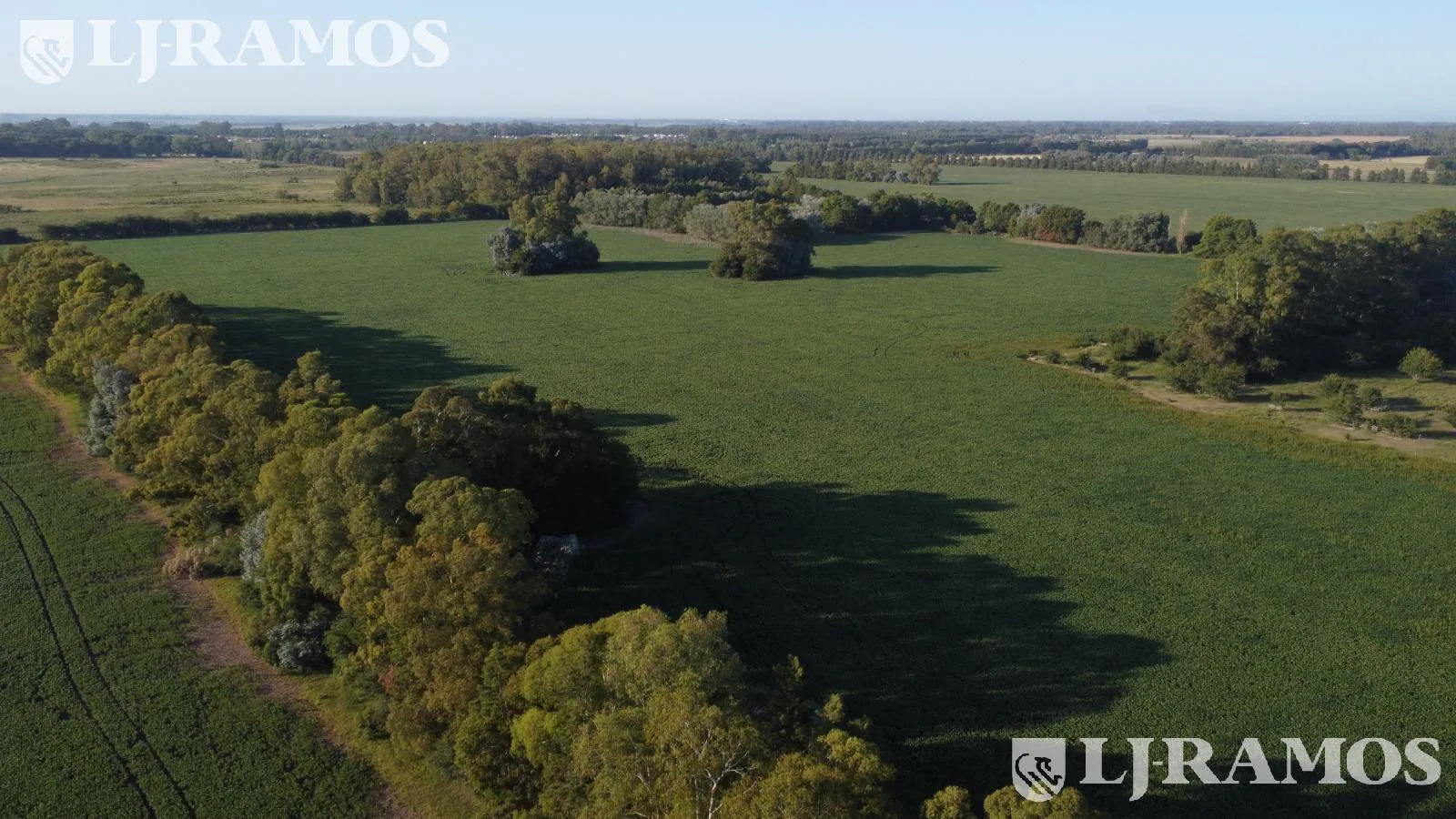 Terreno - Countries/B.Cerrado (Campana) foto 2