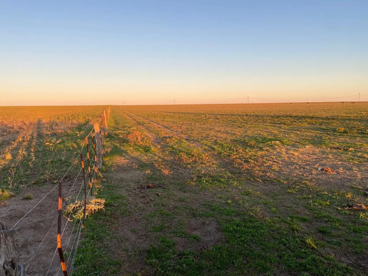 Venta campo zona carrindanga Bahía Blanca foto 4