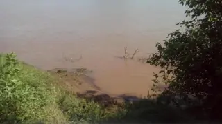 VENDO CHACRA SOBRE RÍO URUGUAY foto 3