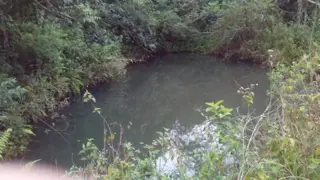 VENDO CHACRA SOBRE RÍO URUGUAY foto 4