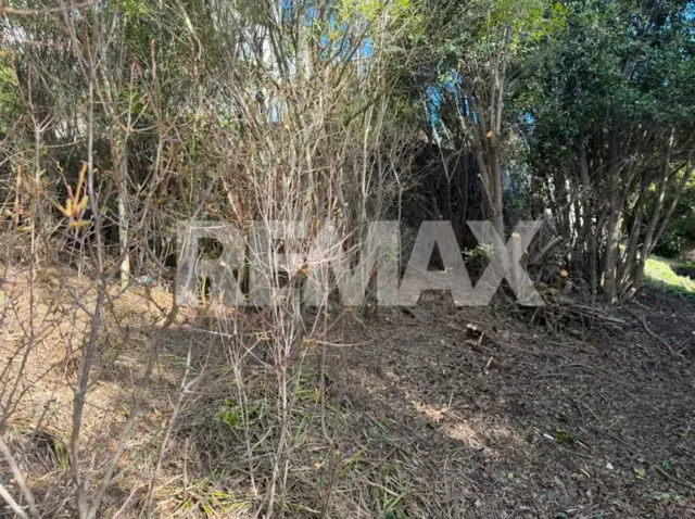 Venta de Lote en Barrio Los Riscos  RE/MAX 7 Lagos