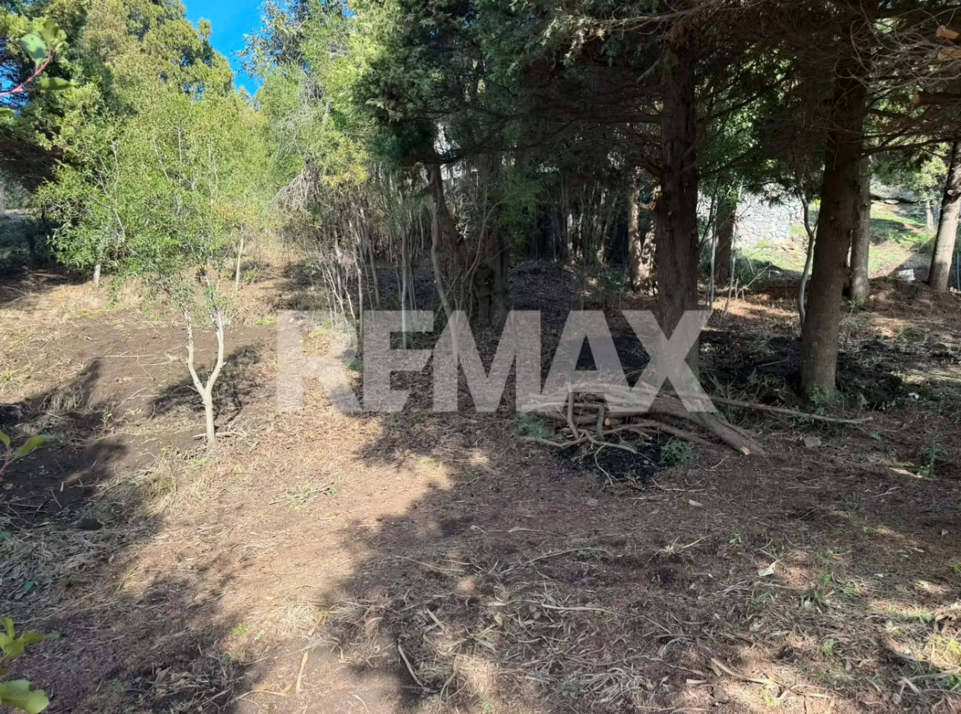 Venta de Lote en Barrio Los Riscos  RE/MAX 7 Lagos foto 2