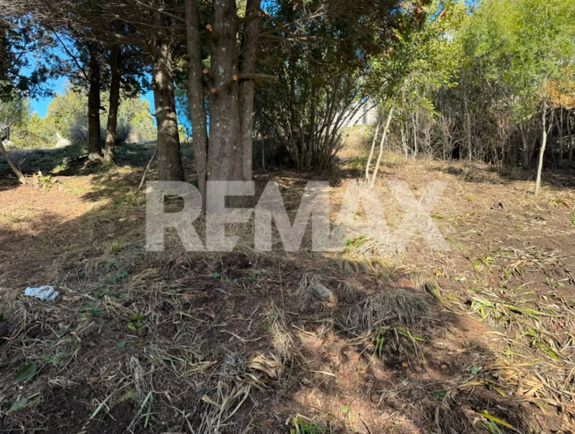 Venta de Lote en Barrio Los Riscos  RE/MAX 7 Lagos foto 4