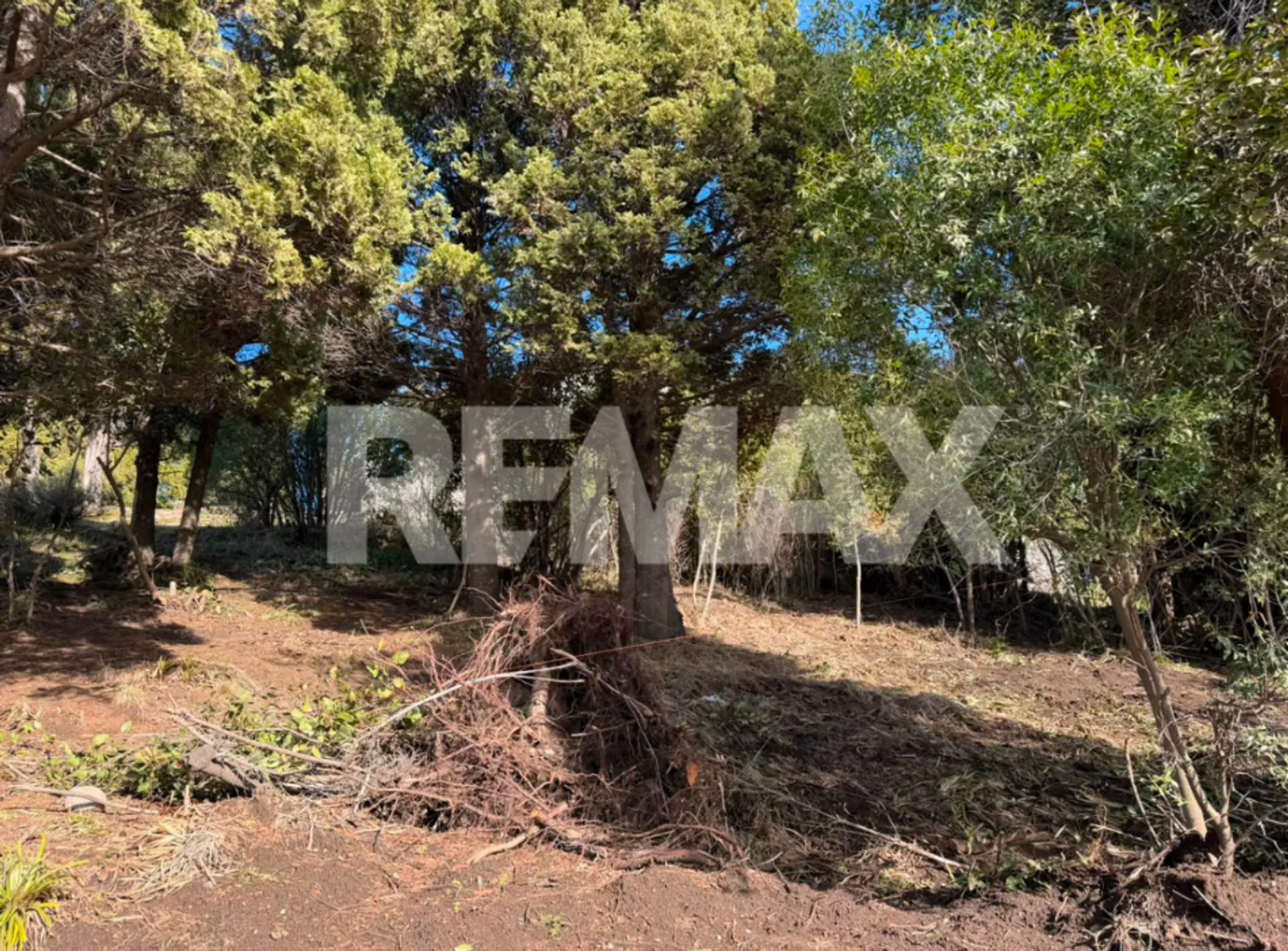 Venta de Lote en Barrio Los Riscos  RE/MAX 7 Lagos foto 5
