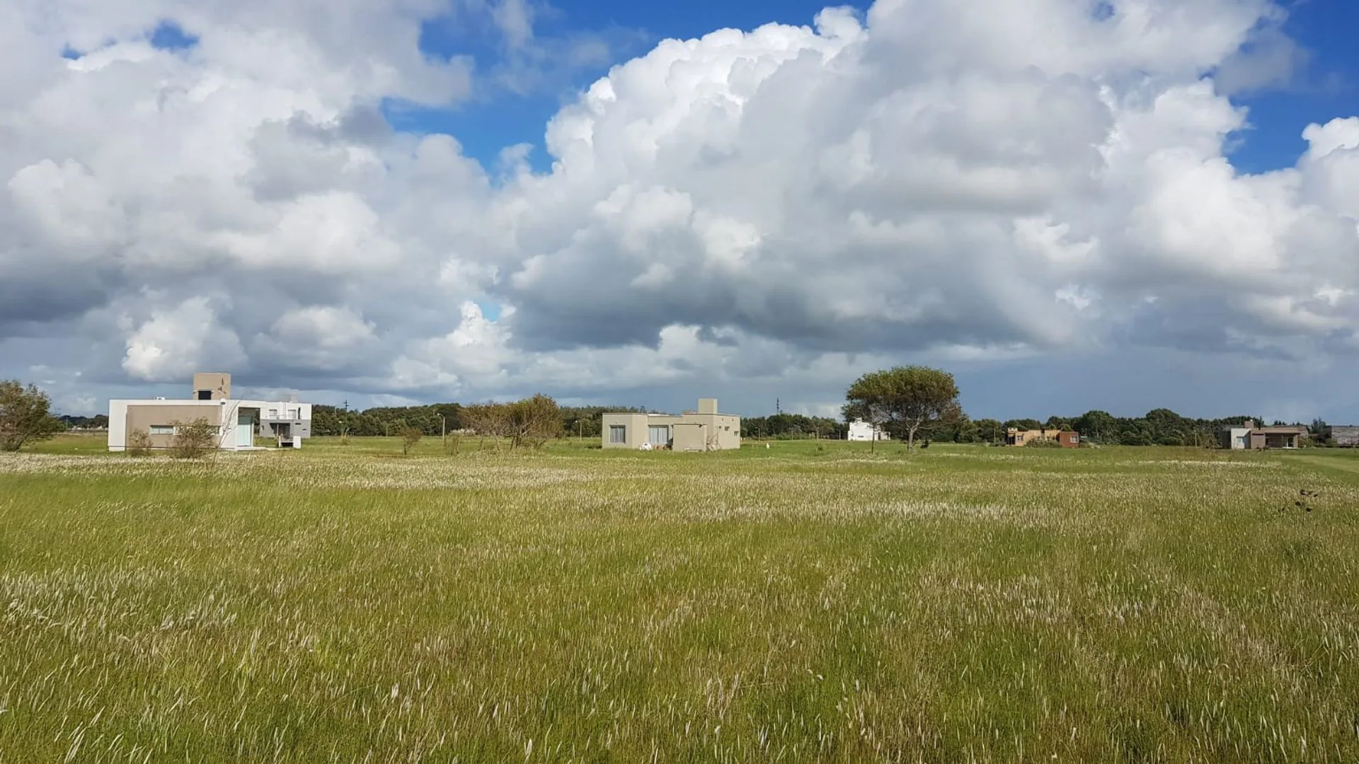 LOTES EN VENTA  EN KM 314 foto 4