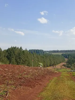 Terreno Venta Campo Ramón Ruta 103 438m2 Oberá Apto Crédito foto 3