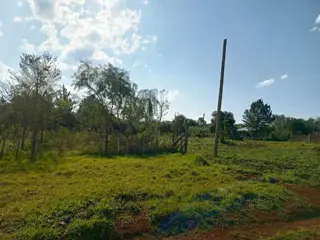 Terreno Venta Campo Ramón Ruta 103 438m2 Oberá Apto Crédito foto 4