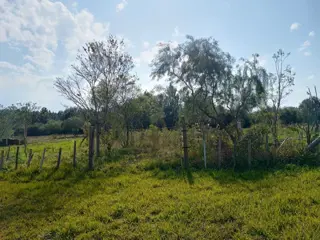 Terreno Venta Campo Ramón Ruta 103 438m2 Oberá Apto Crédito foto 5