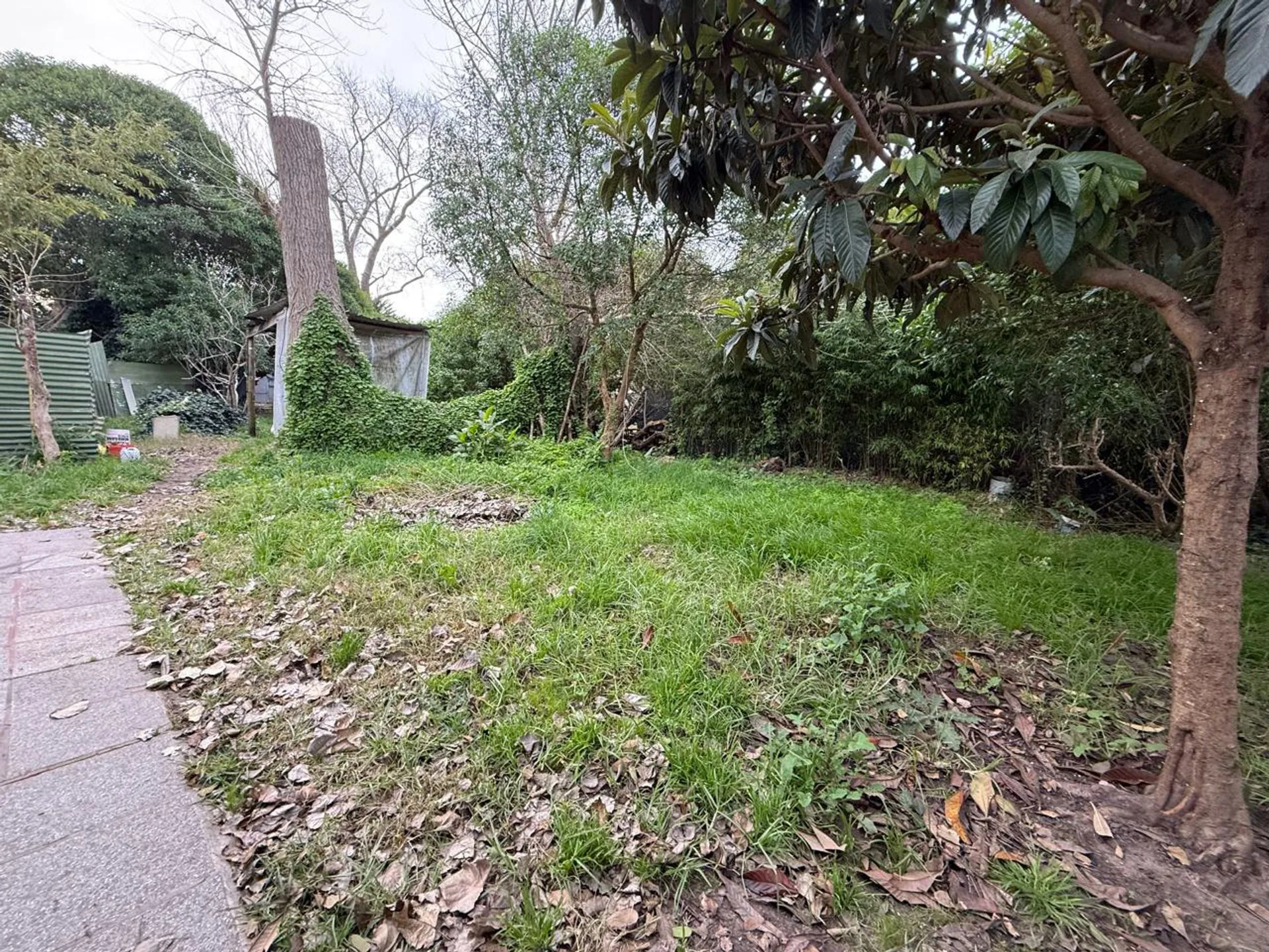 Monoambiente en Planta Baja en Alfar