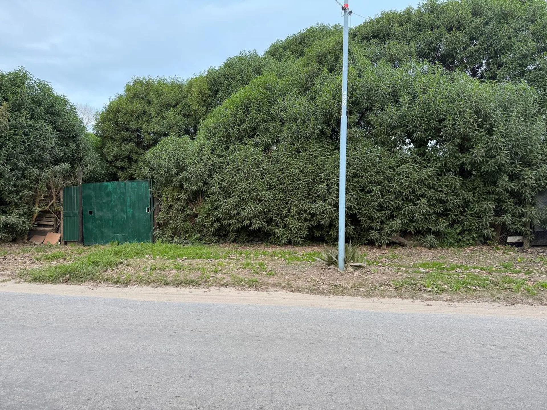 Monoambiente en Planta Baja  en Alfar foto 3