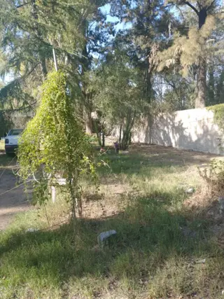 Casa sobre Lote 886 m2 3 amb a refaccionar foto 2