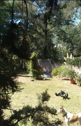 Casa sobre Lote 886 m2 3 amb a refaccionar foto 5