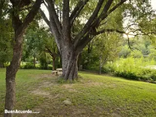 Quinta en Venta en Villa la Bolsa, Santa María, Córdoba foto 3