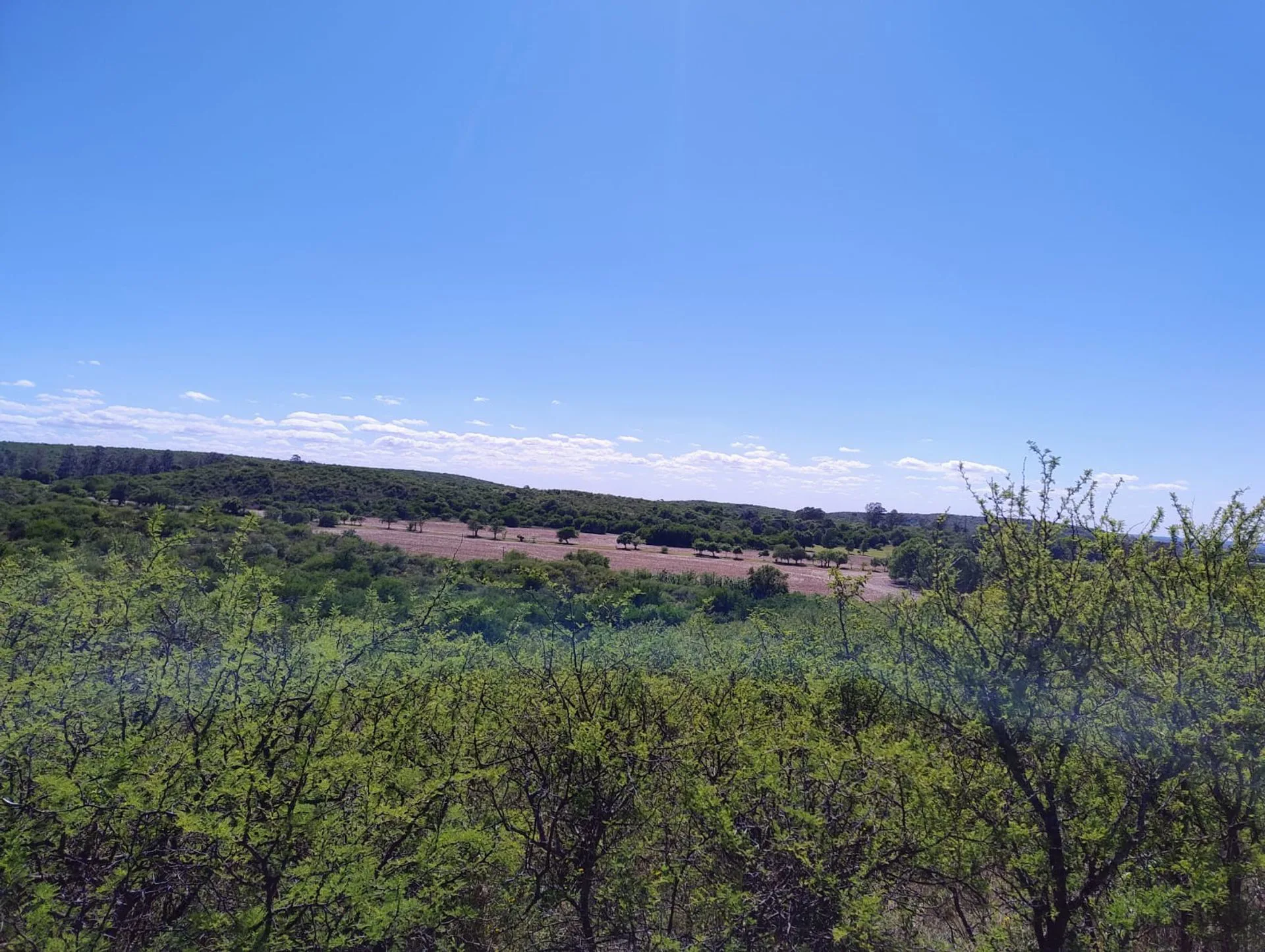 VENTA LOTE ASCOCHINGA LA PAMPA STA CATALINA 1.6HA foto 4