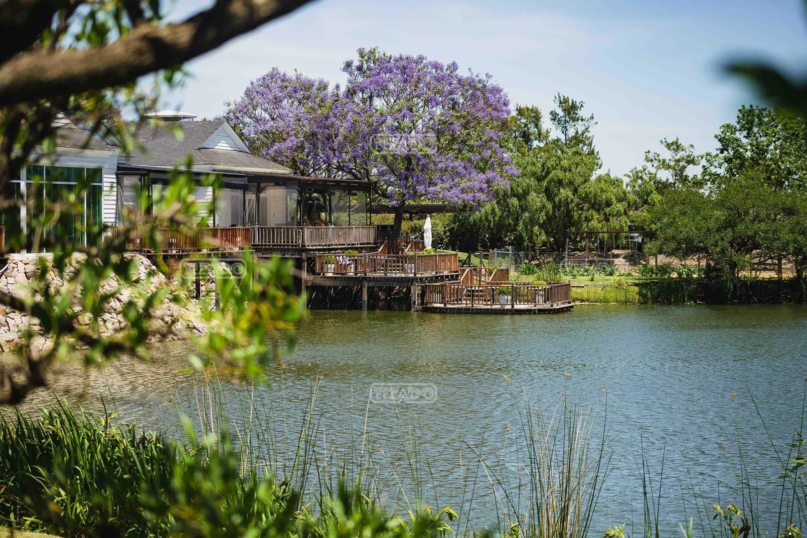 Lote en venta en NORDELTA, Barrio CASUARINAS 300 foto 5