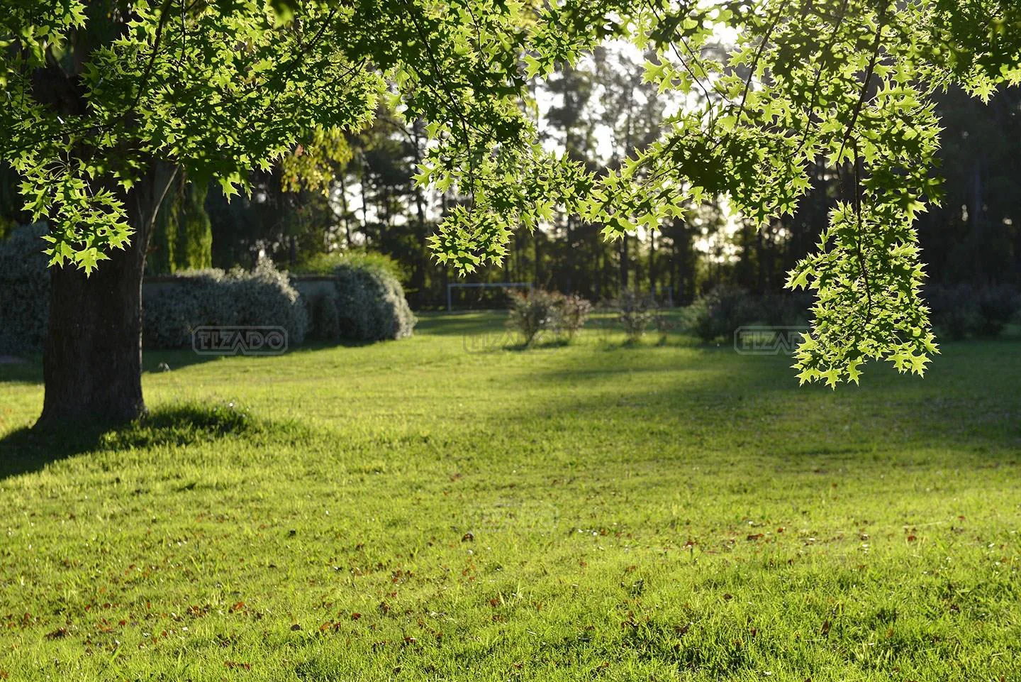 Haras San Pablo Club de Campo foto 2