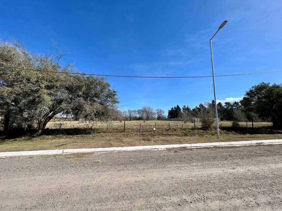 Lote 1000 m² frente Ruta 9 – Centro Juárez Celman foto 4