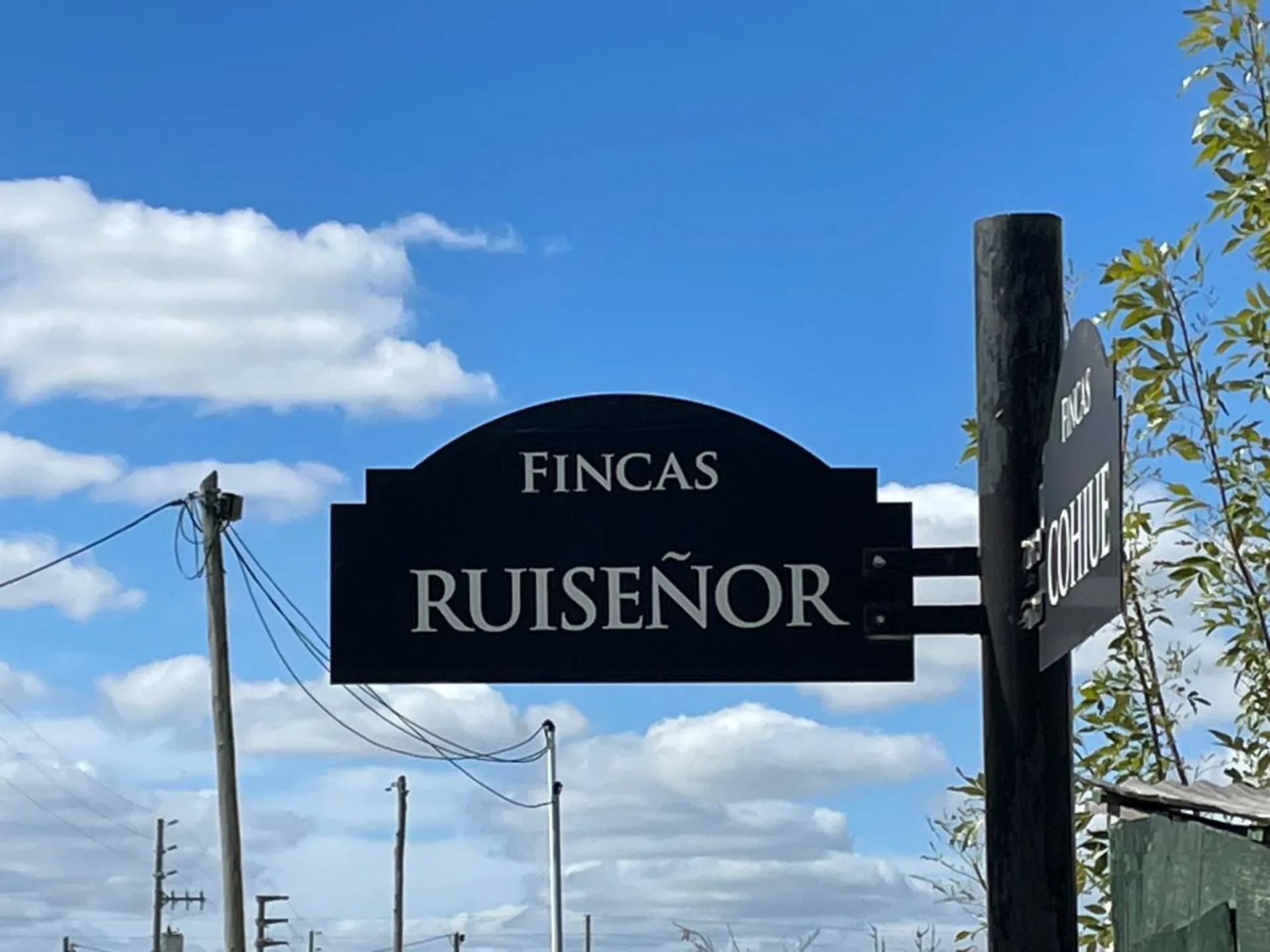 LOTE EN VENTA EN FINCAS DE SAN VICENTE foto 5