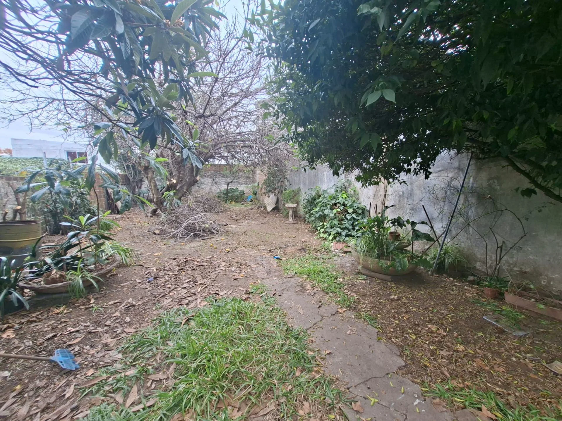CASA/LOTE  262 MTS2 A REFACCIONAR EN VENTA foto 4