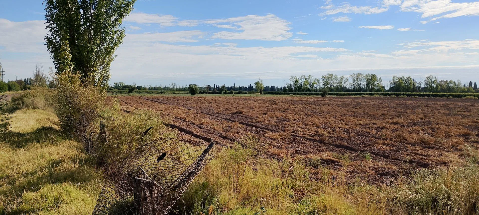 TERRENO VENTA 5,2 HS PERDRIEL LUJAN DE CUYO foto 3