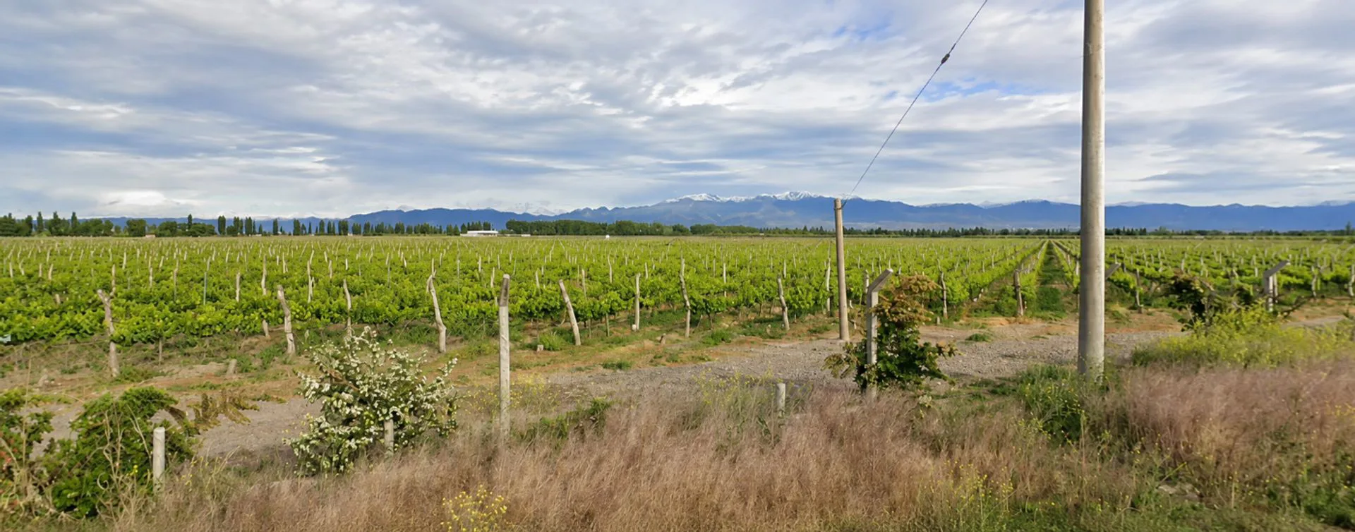 TERRENO VENTA 5,2 HS PERDRIEL LUJAN DE CUYO foto 5