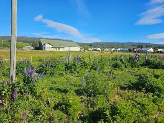 TERRENO EN CHOLILA, CHUBUT foto 3