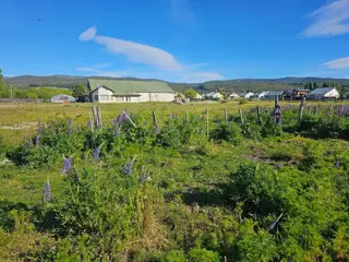 TERRENO EN CHOLILA, CHUBUT foto 5