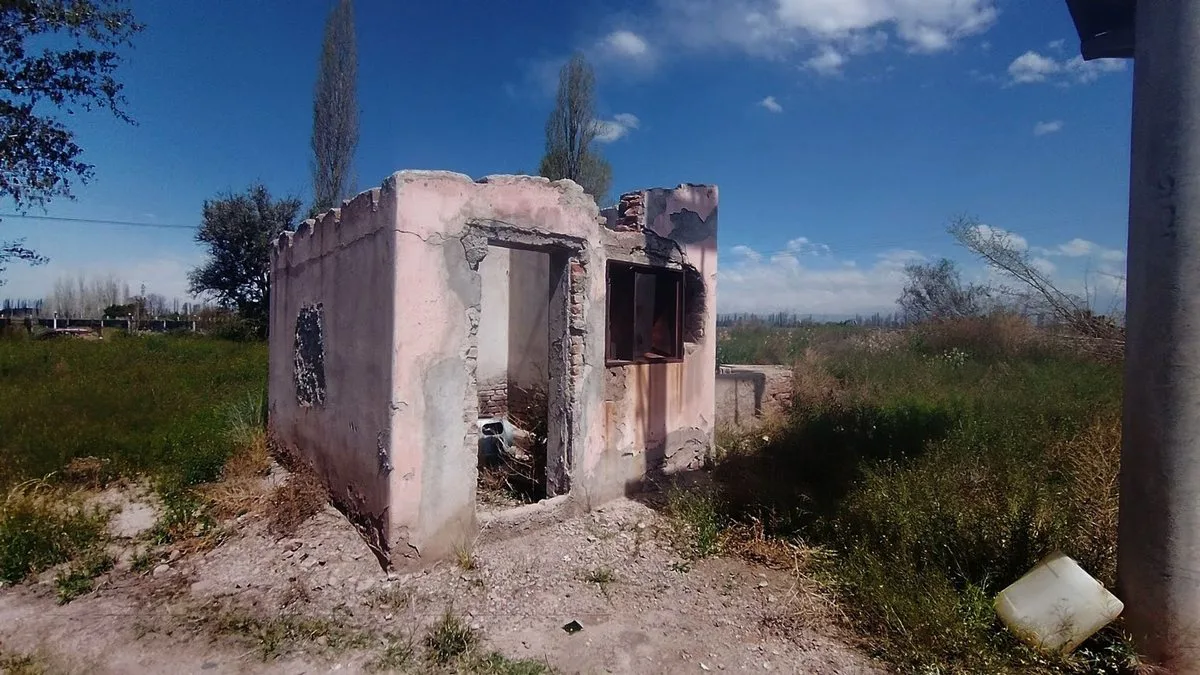 VENTA DE FINCA 5,2ha PERDRIEL, LUJAN DE CUYO foto 5