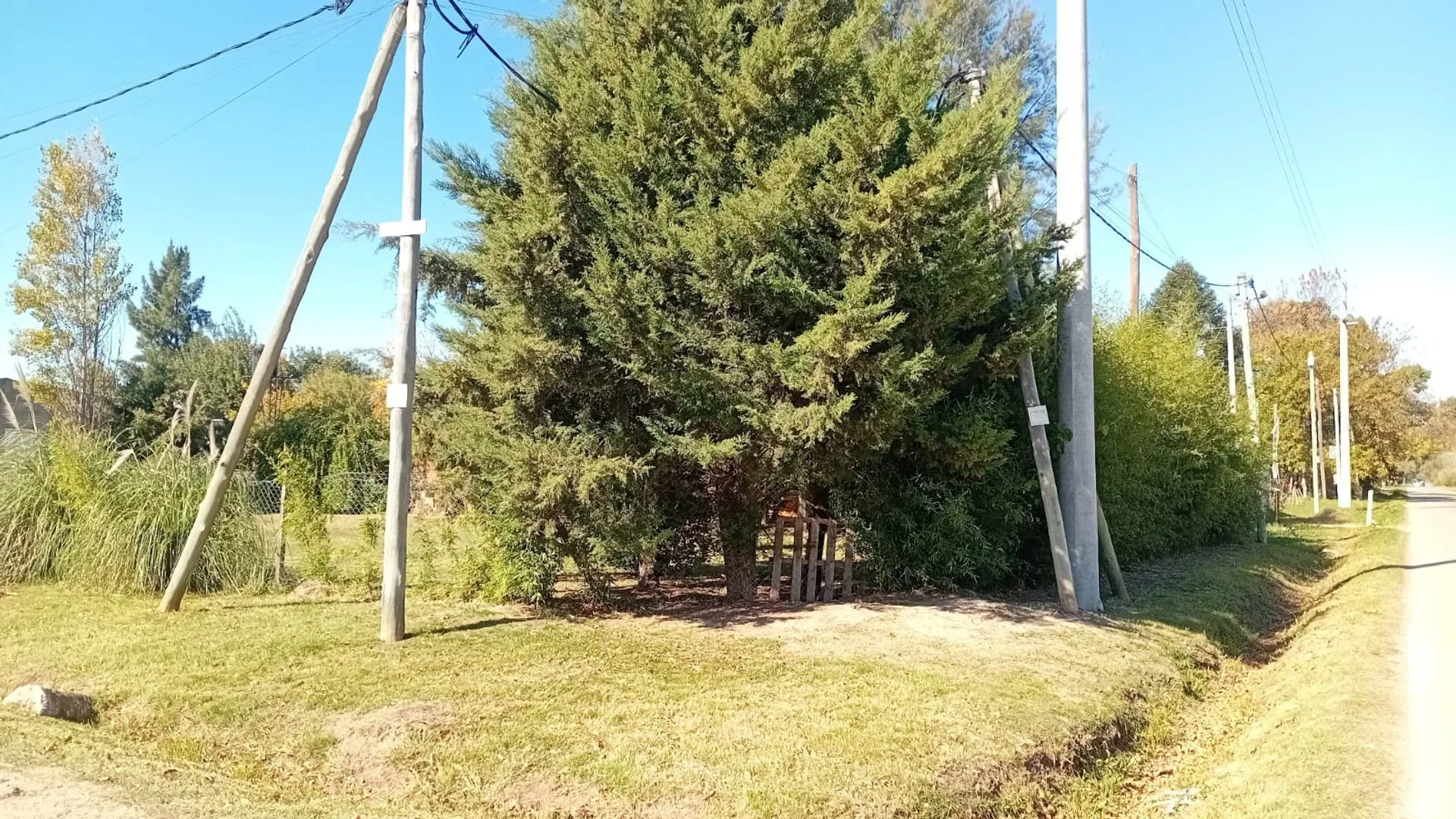VENTA LOTE 520M2 ESQ CON PARRILLA GRAL RODRIGUEZ foto 2